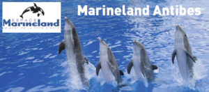 Marineland