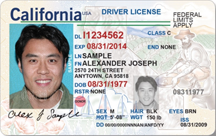 Driver license Américaine - usa.gov