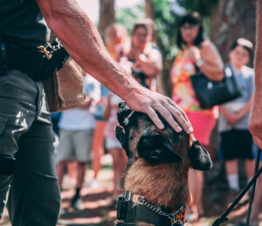 Chien policier
