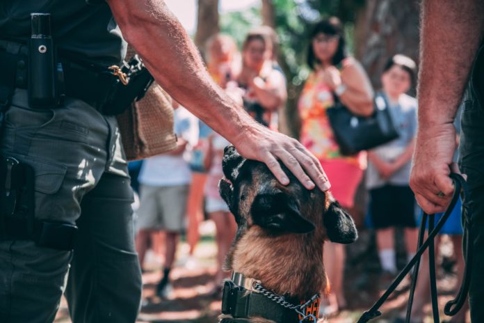 Chien policier