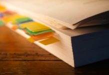 Réforme de la Police nationale : un rapport parlementaire appelle à des ajustements